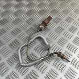 Abgastemperatursensor AUDI A5 (F53) 35 TFSI Mild Hybrid 8W0919529J