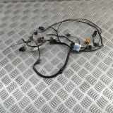 Kabelbaum Audi A5 (F53) 8W6971104G