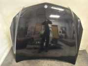Motorhaube MERCEDES-BENZ E Cabrio (A207) E 220 BlueTEC (207.401) 197