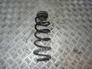 Federblatt links hinten Audi A6 (4F, C6) 4F0512149