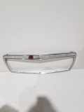 Ziergitter Mercedes-Benz S-Klasse (W140) A1408800783