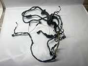 Kabel Tür BMW 7er (F01, F02, F03, F04) 9234121