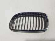Kühlergrill oben BMW 3er Touring (E91) 7201967