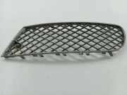 Kühlergrill unten Bentley Flying Spur (4W) 3W5807683