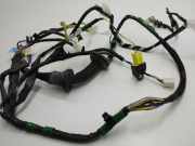Kabel Tür Toyota RAV 4 IV (A4) 8215242