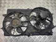 Elektrolüfter Ford Focus (DAW, DBW) 3135103332