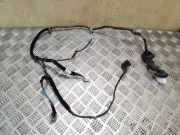 Türverkabelung hinten links KIA SPORTAGE V (NQ5) 1.6 T-GDI AWD 916503U020