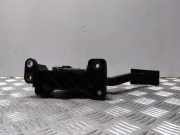Fahrpedal Nissan Pathfinder III (R51) 18002EB400