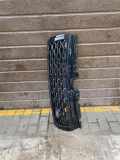 Kühlergrill oben Land Rover Range Rover Evoque I (L538) GJ328200D