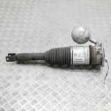 Stoßdämpfer hinten links VW PHAETON (3D_) 4.2 V8 4motion 3D0616001H