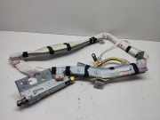 Dach SRS rechts NISSAN MURANO I (Z50) 3.5 4x4 PXCB8056207044
