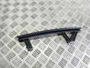 Türverkleidung vorne links