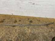 Dachleiste links MERCEDES-BENZ R (W251, V251) R 320 CDI 4-matic (251.022, 251.122) W2516902180