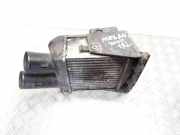 Ladeluftkühler Renault Megane II (BM/CM)