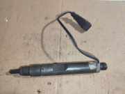 Düsenstöcke VW Passat B7 Alltrack (36, B7) 028130201S