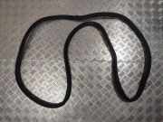 Dichtungsgummi der rechten hinteren Tür VOLVO XC90 II D5 AWD 31457674