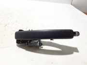 Türgriff rechts vorne Renault Trafic III Kasten (FG)