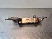 Abgaskühler VW Sharan (7M) 038131513C