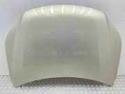 Motorhaube VW Tiguan I (5N)