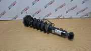 Stoßdämpfer hinten rechts