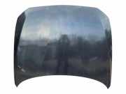 Motorhaube BMW 1 (F20) 116 d 261c1062