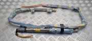 Dach SRS rechts LEXUS IS II (GSE2_, ALE2_, USE2_) 220d (ALE20) 250858