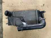 Ladeluftkühler NISSAN JUKE (F15) 1.6 DIG-T SHA1393003