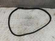 Türgummi links hinten Citroen C1 ()