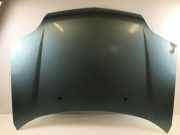 Motorhaube Nissan X-Trail I (T30) F51008H3MM