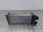 Ladeluftkühler PEUGEOT PARTNER Furgon 1.6 HDi 874964G 9645965180