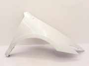 Kotflügel rechts vorne Renault Laguna III (T) 631008701R