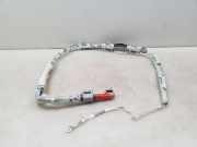 Dach SRS rechts NISSAN X-TRAIL (T31) 2.0