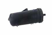 Kraftstoffdampffilter (EVAP) MERCEDES-BENZ S Coupe (C217) S 63 AMG (217.377) A0004700259