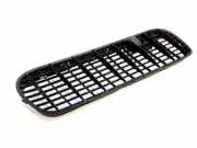 Gitter BMW X5 (E53) 4.4 i 8402670