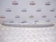 Kennzeichenbeleuchtung Verkleidung RENAULT MEGANE Scenic (JA0/1_) 1.9 dTi (JA0N) 7700428465