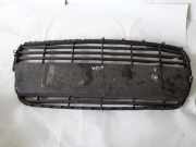 Gitter vorne unten HYUNDAI i10 (PA) 1.1 865220X000