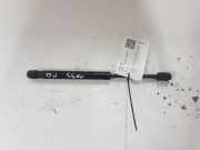 Gasfeder für Motorhaube Volvo XC60 I (156) 30784935