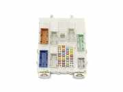 Sicherungskasten Ford Kuga II (DM2) F1FT14A073EF