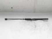 Gasfeder für Motorhaube Kia Sorento I (JC) 811813E011