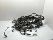 Motor Kabelbaum SKODA ENYAQ iV Coupe (5AC) RS 1EB971111B