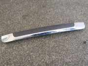 Gehäuse für Kennzeichenleuchte Citroen C3 Picasso (SH)