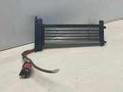 Elektrischer Schulterschulterkühler PEUGEOT 407 (6D_) 2.7 HDi 06T23010645 18K463
