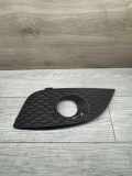 Gitter vorne unten SEAT LEON (1P1) 1.6 MultiFuel 14884