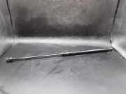 Heckklappe Gasdruckfeder links OPEL ASTRA G Sedan (F69_) 2.0 DTI 16V 905215170512