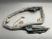 SRS Modul Dach links BMW 5 Gran Turismo (F07) 535 i xDrive 84913802108