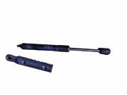 Gasfeder für Motorhaube BMW 5er (F10) 7207188