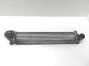 Ladeluftkühler FORD GALAXY III (CK) 2.0 TDCi