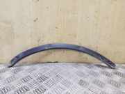 Rear Arch Liner Trim
