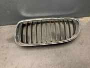 Vorderer oberer Gitter BMW 3 (E90) 318 d 22405910