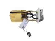 Kraftstoffpumpe Renault Kangoo II Rapid (FW0) 100118444